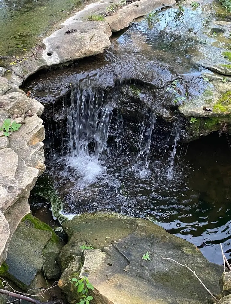 1532 County Road 250, Weimar, TX 78962 - #2