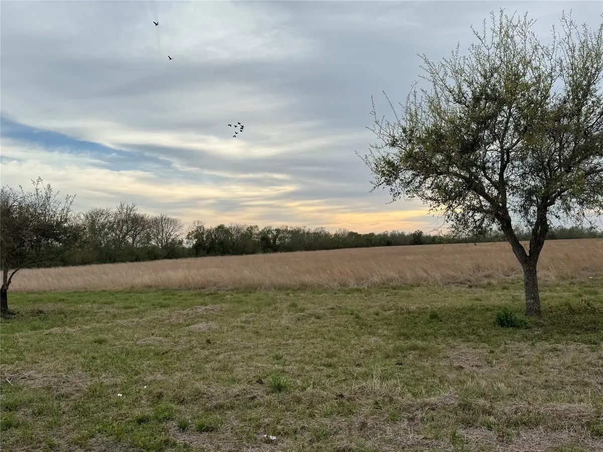 0 County Road 46, Angleton, TX 77515 - #1