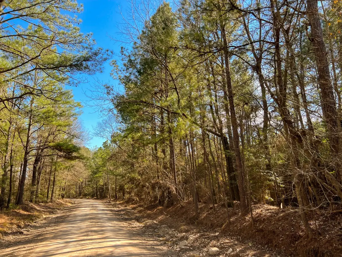 10 Howell Road, Corrigan, TX 75939 - #1