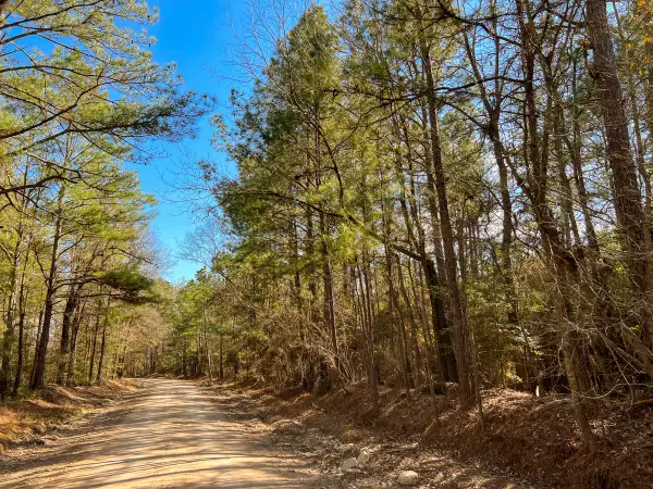 10 Howell Road, Corrigan, TX 75939