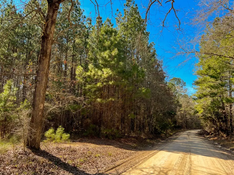 10 Howell Road, Corrigan, TX 75939 - #3