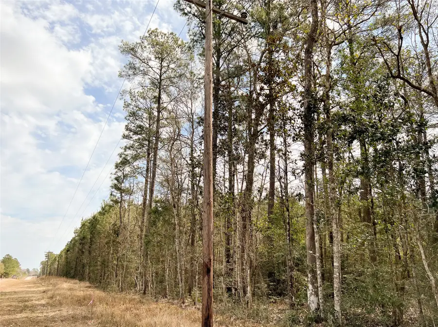 00 Fm 1746, Spurger, TX 77660 - Image #3