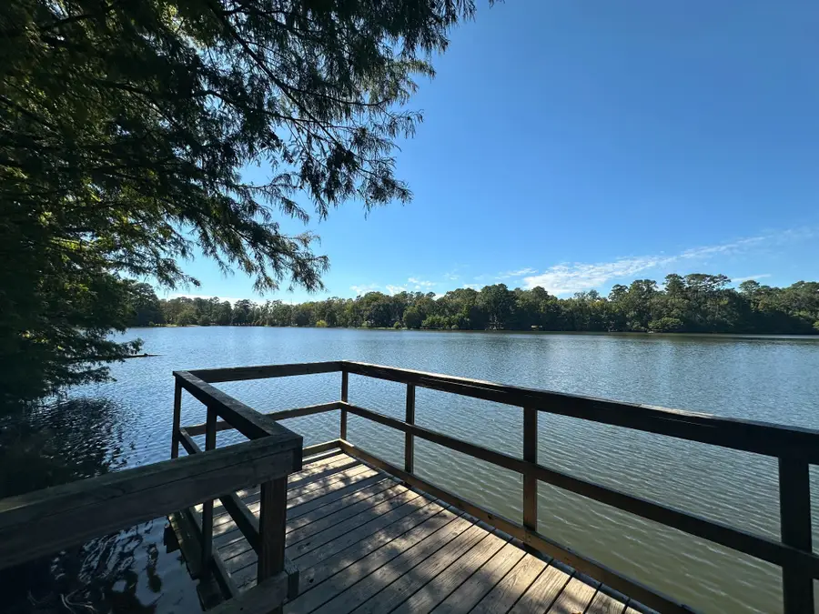 14920 Coaltown Road, Willis, TX 77378 - #3