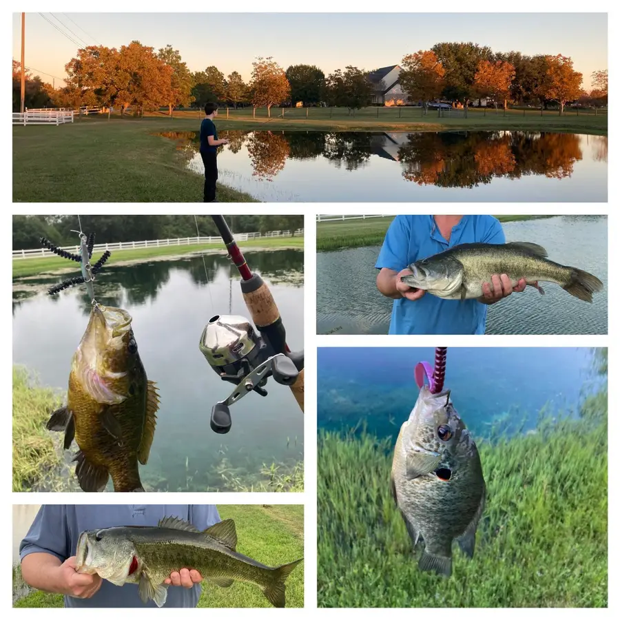 #3
