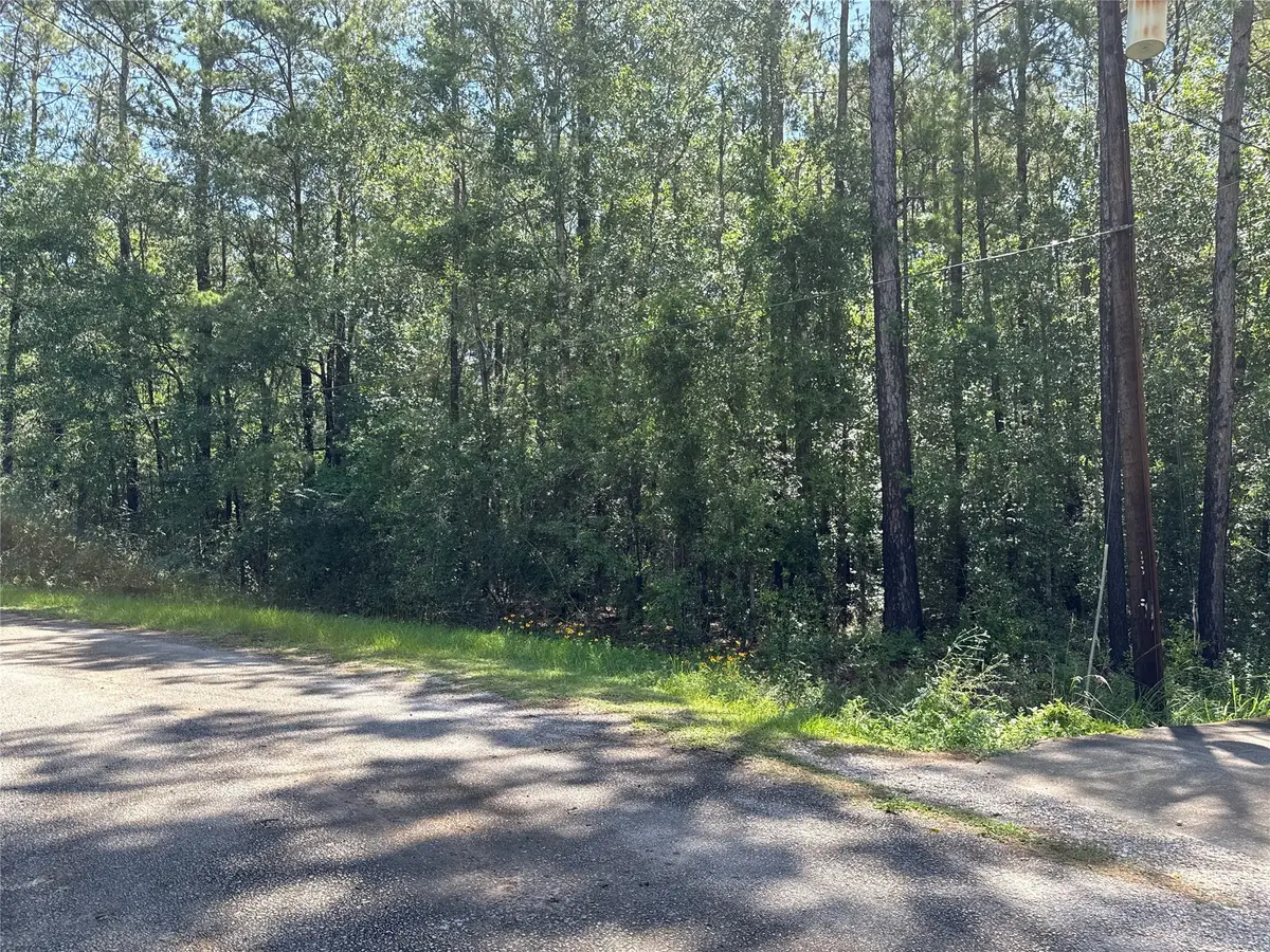 11236 Memory Lane, Cleveland, TX 77328 - #1