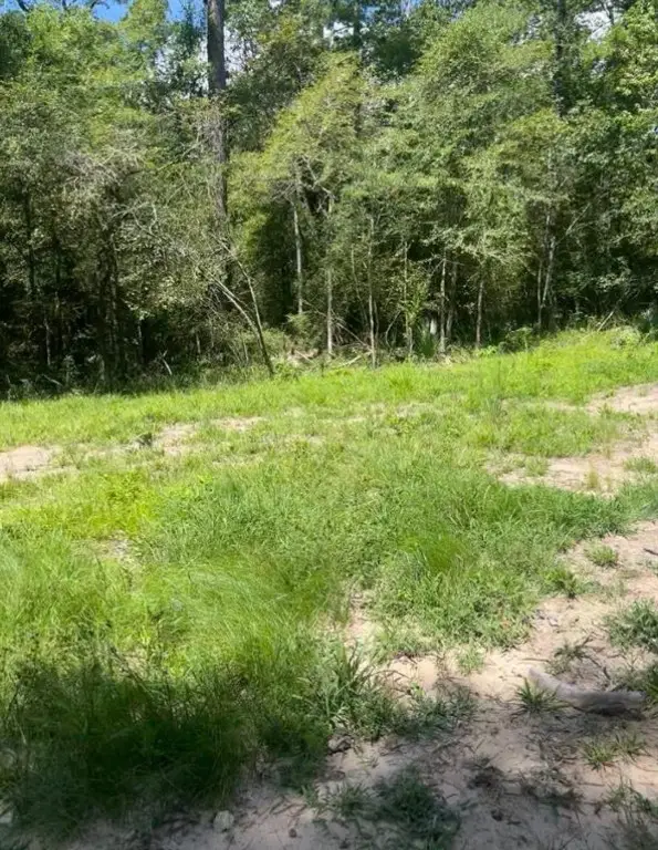 58 Firewood Road, Huntsville, TX 77340