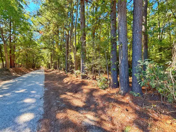 TBD County Road 1620, Grapeland, TX 75844