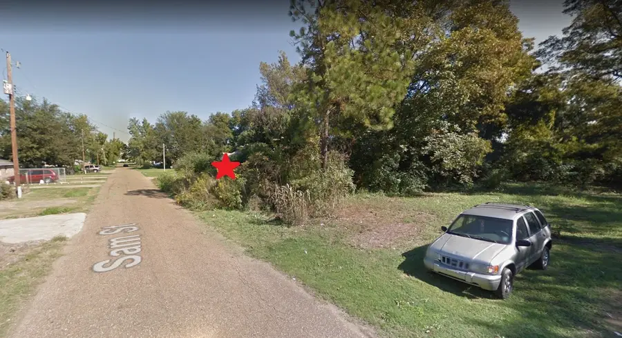 223 N Sam, Hornor, Ar 72390 - #3