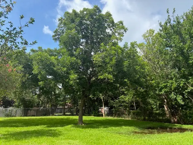 0 31st Street, Texas City, TX 77590 - #1