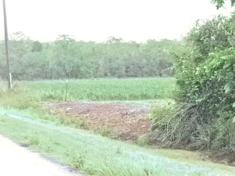 6932 Beard Road, Needville, TX 77461 - #3