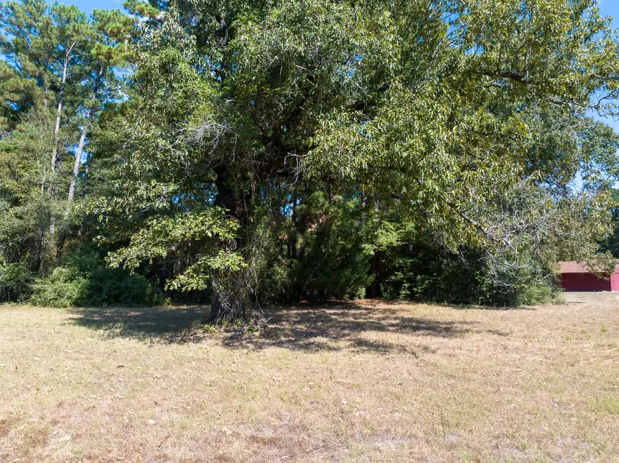 Lot Reserve H Horseshoe Lake Drive, Huntsville, TX 77340 - Image #2
