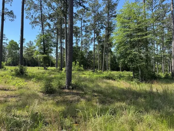 006 Private Road 6028 Tract 1-6, Brookeland, TX 75931