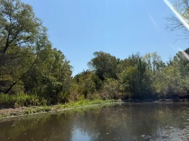 7 ac Acr 2601, Tennessee Colony, TX 75861 - #1
