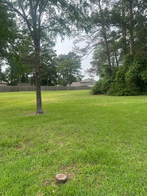 12995 Point Aquarius Boulevard, Willis, TX 77318