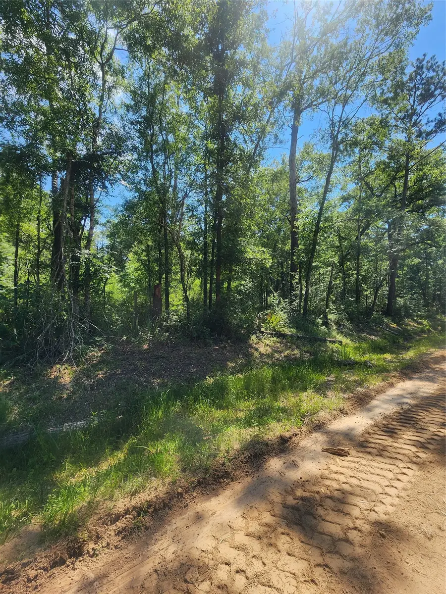 02 Cindy Lane, Shepherd, TX 77371 - #2