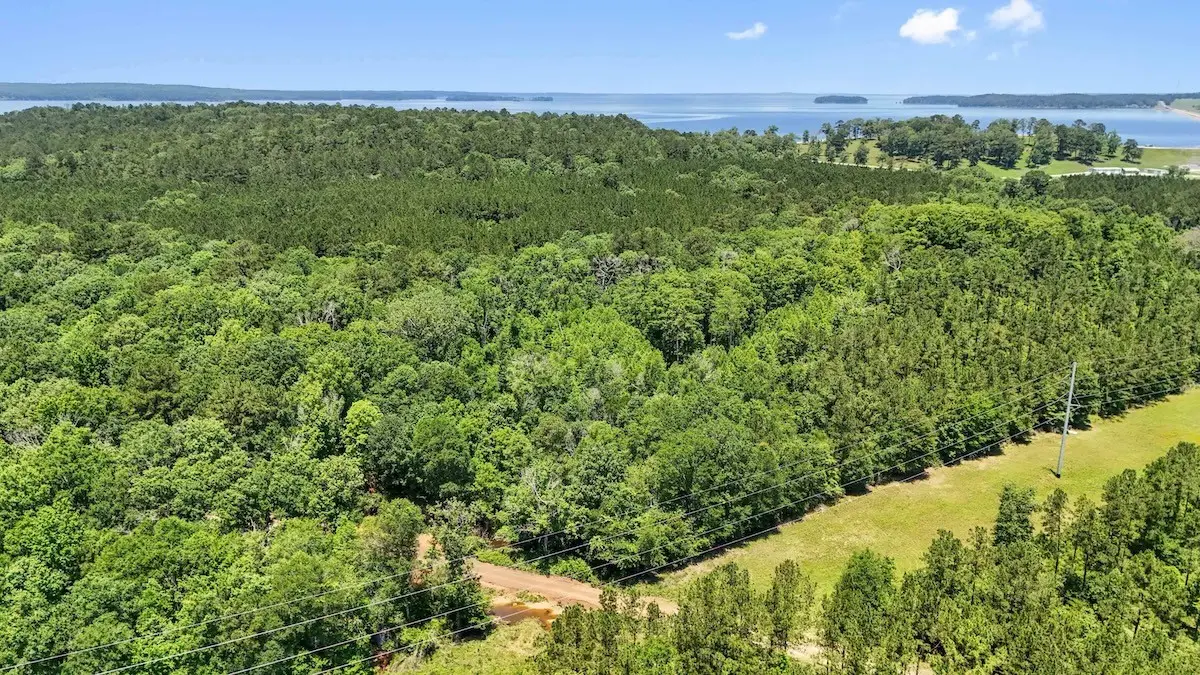 TBD Hickman Road, Burkeville, TX 75932 - #1