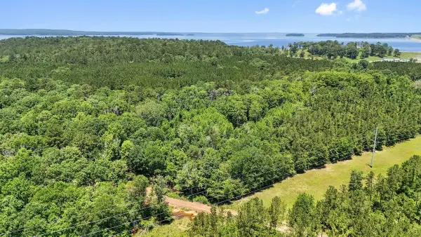 TBD Hickman Road, Burkeville, TX 75932