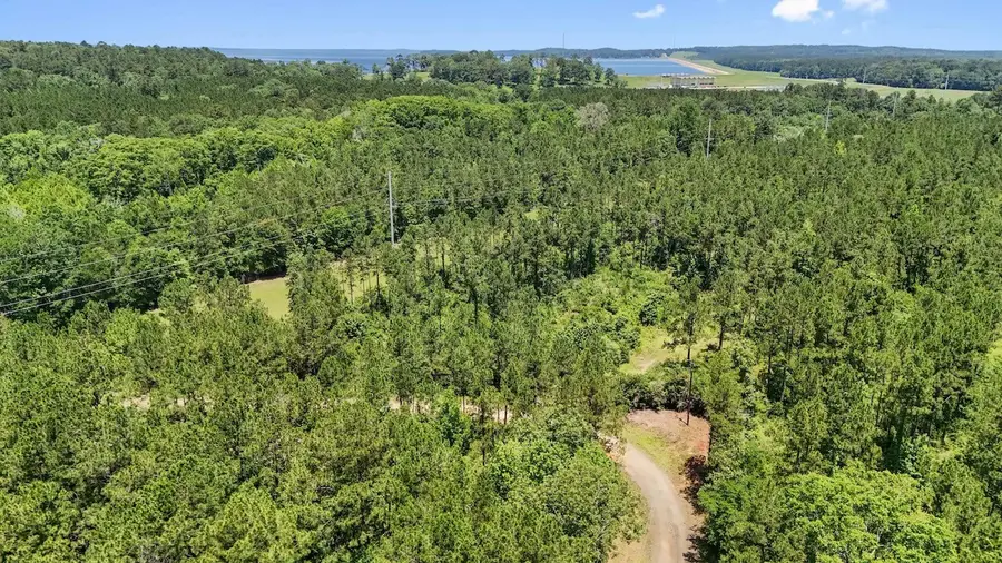 TBD Hickman Road, Burkeville, TX 75932 - #2