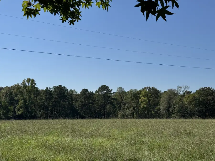 TBD County Road 3550, Woodville, TX 75979 - #2