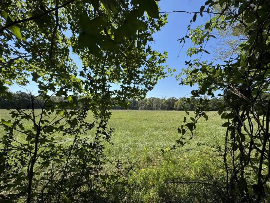 TBD County Road 3550, Woodville, TX 75979 - #3