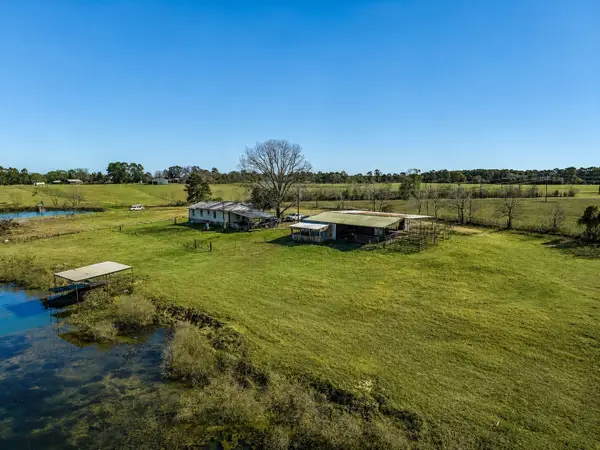 10802 County Road 203, Plantersville, TX 77363