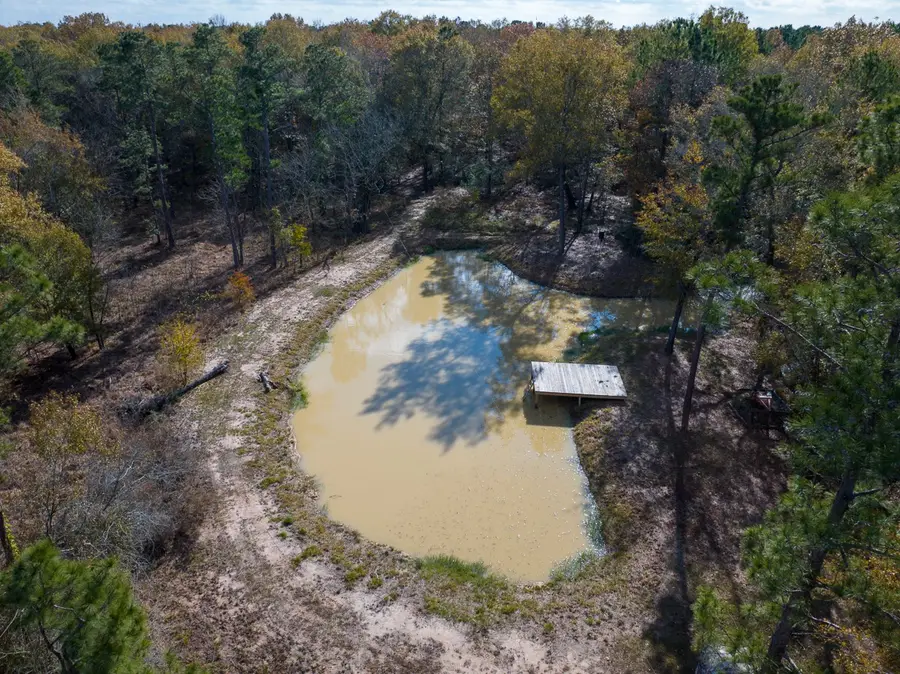 675 Somerset Trail, Point Blank, TX 77364 - Image #3