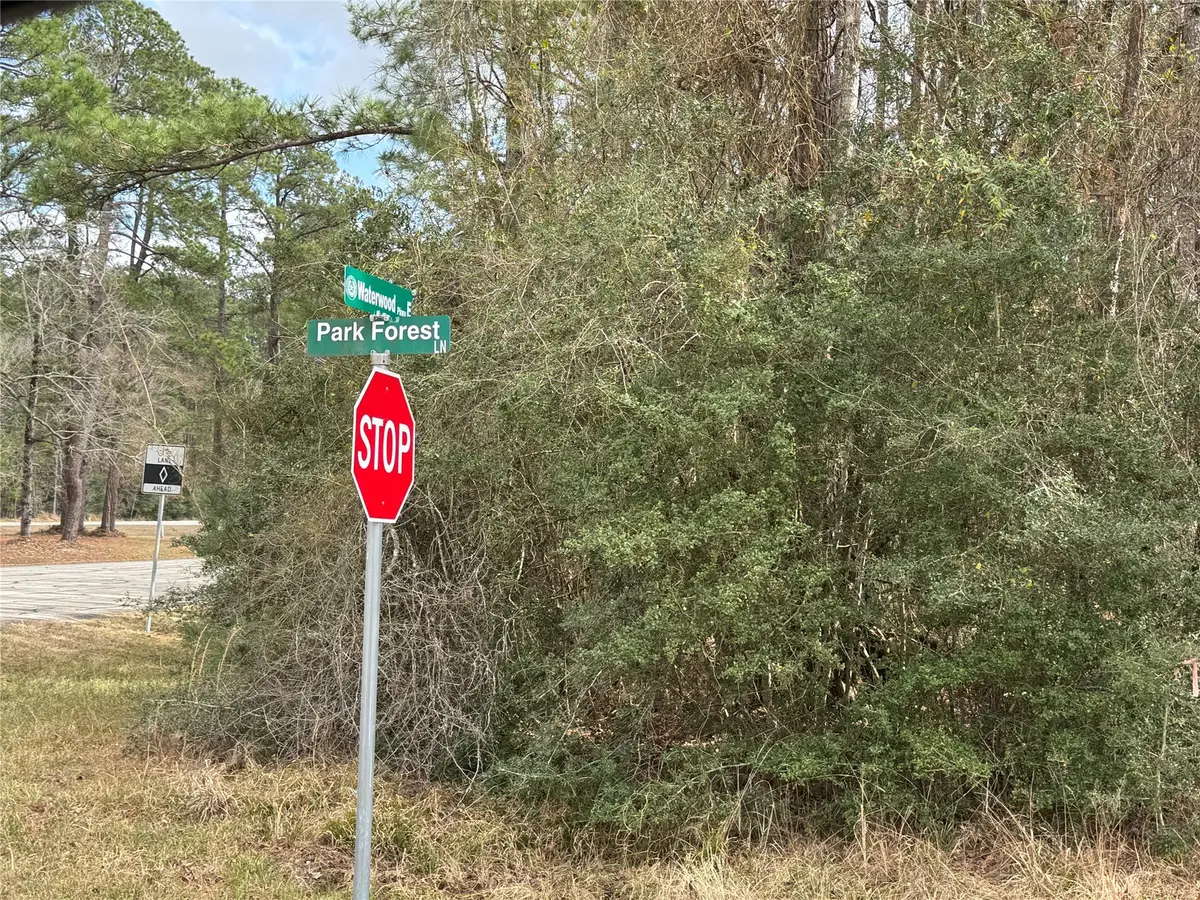 TBD Park Forest Lane, Huntsville, TX 77320 - #1