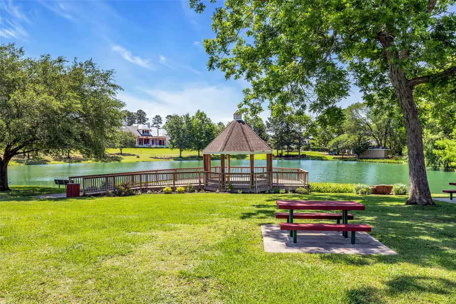 293 Camden Hills Drive, Montgomery, TX 77356 - #2