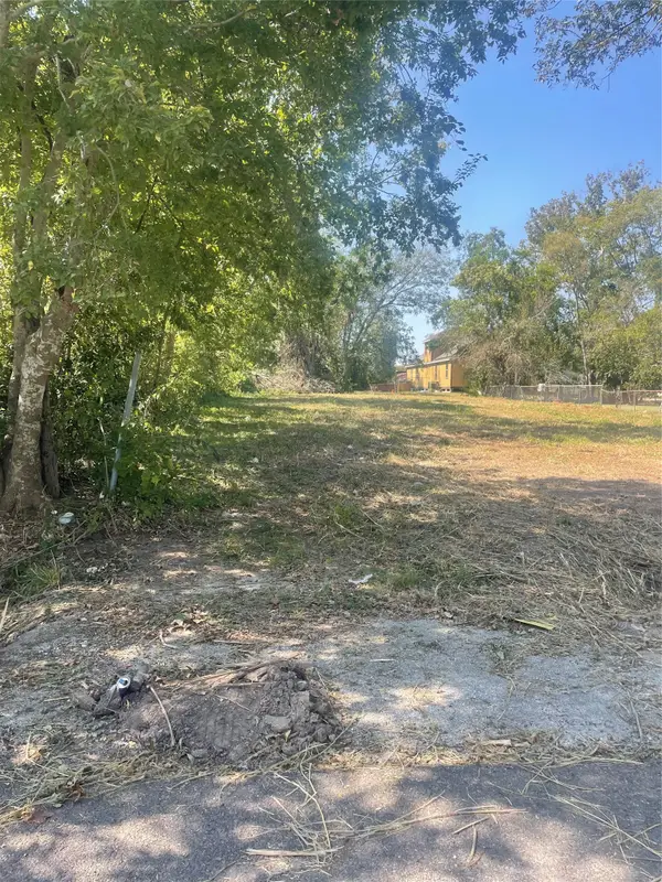 9515 Willow Street, Houston, TX 77088