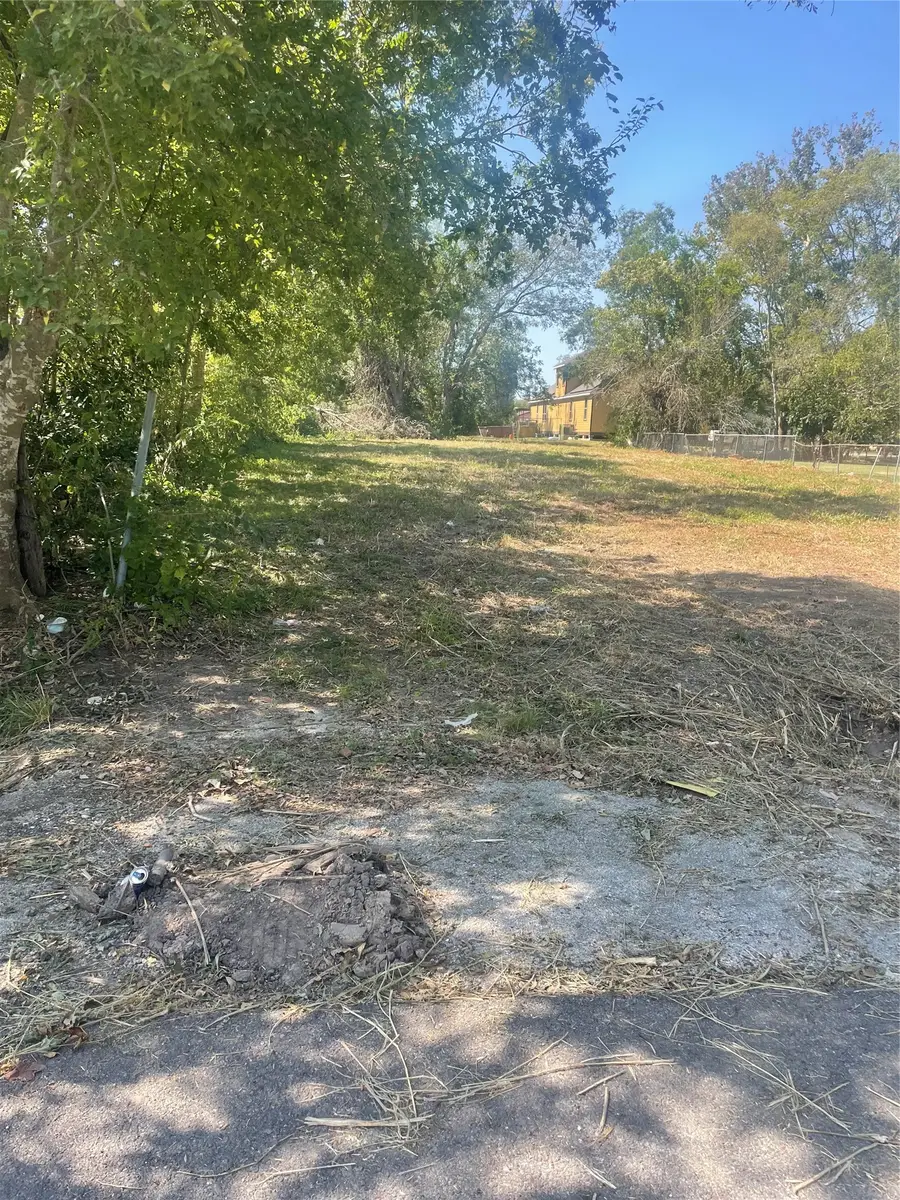 9515 Willow Street, Houston, TX 77088 - #3