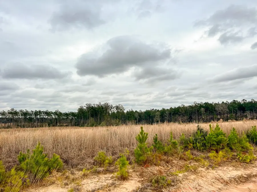 5 Hardin Hideout Road, Moscow, TX 75960 - #2