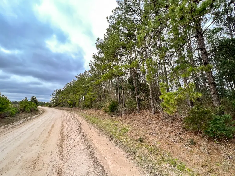 5 Hardin Hideout Road, Moscow, TX 75960 - #3