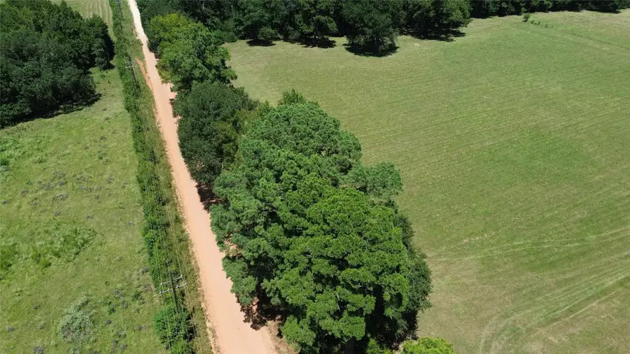 1684 County Road 1050, Crockett, TX 75835 - #3