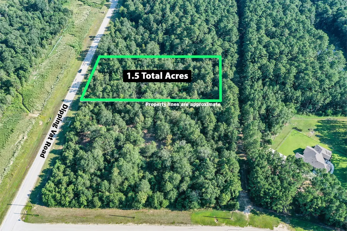 1.5 Acres Dipping Vat Road, New Waverly, TX 77358 - #1