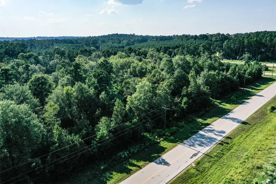 1.5 Acres Dipping Vat Road, New Waverly, TX 77358 - #2