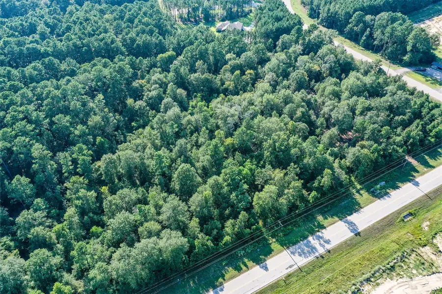 1.5 Acres Dipping Vat Road, New Waverly, TX 77358 - #3