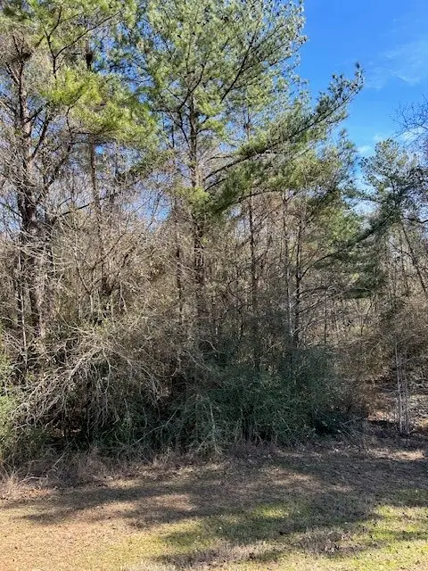 17763 Appaloosa Drive, Waller, TX 77484 - #2