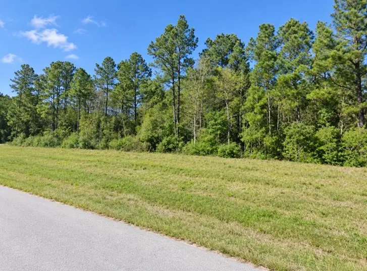 11-29-29 Mountain Court, Huntsville, TX 77340 - #2