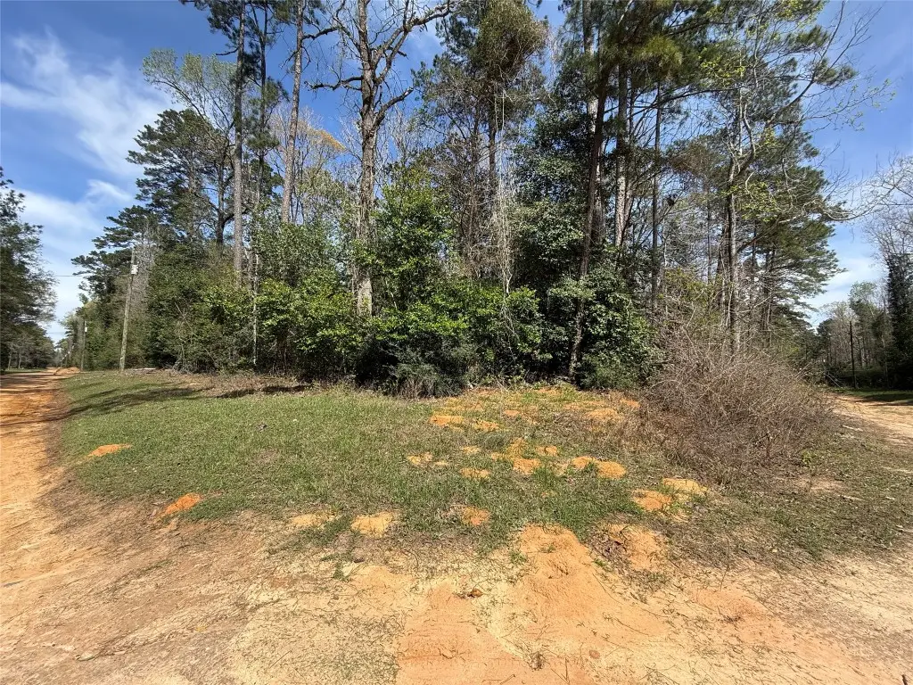 TBD Glenn Barber Dale Evans Road, Livingston, TX 77351 - #1