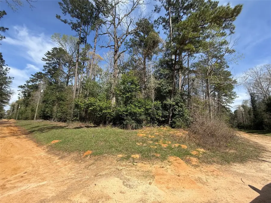 TBD Glenn Barber Dale Evans Road, Livingston, TX 77351 - #2