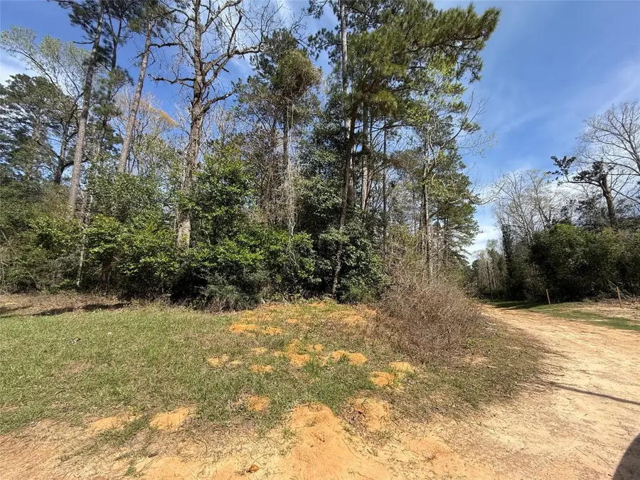 TBD Glenn Barber Dale Evans Road, Livingston, TX 77351 - #3