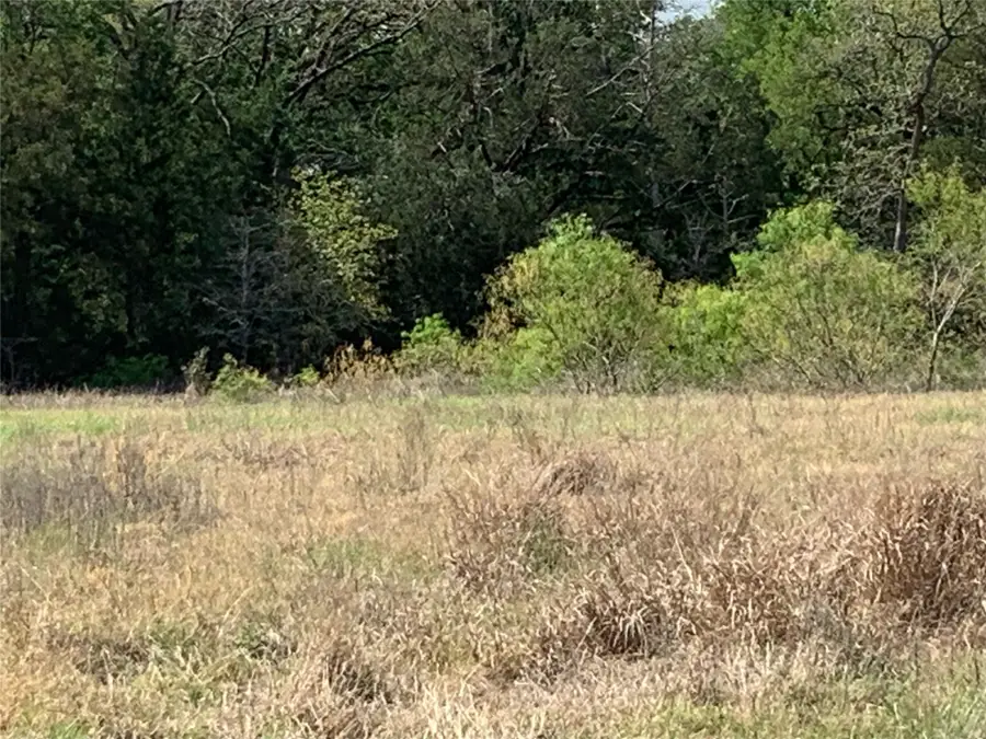 TBD Goehring Road, Ledbetter, TX 78946 - #2