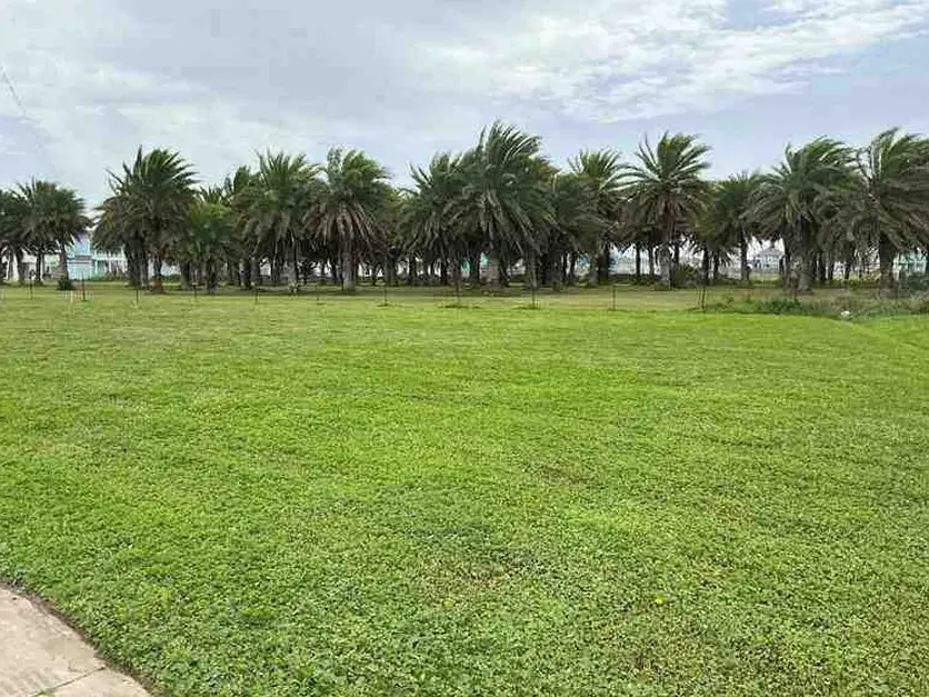 TBD Sand Bar Lane, Crystal Beach, TX 77650 - #1