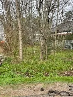 11445 Underwood Street, Willis, TX 77318 - #1