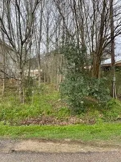 11445 Underwood Street, Willis, TX 77318 - #3