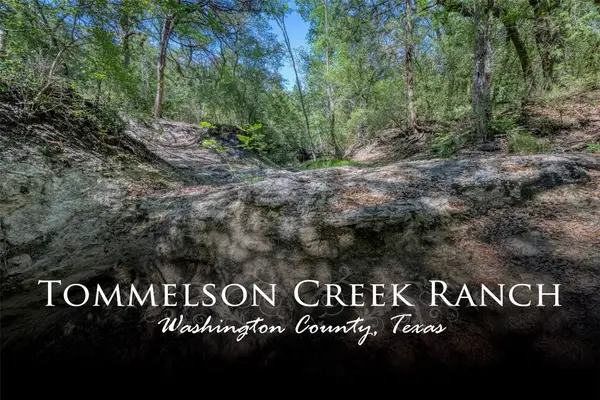 tbd Cedar Hill Road, Brenham, TX 77833