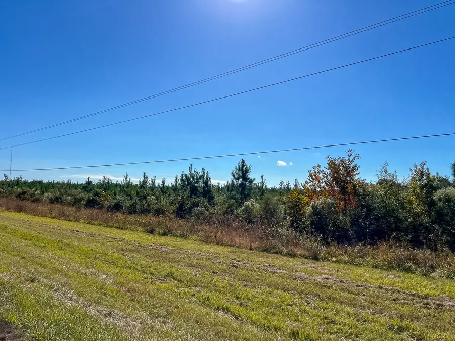 T-3 Fm 787, Votaw, TX 77376 - Image #3