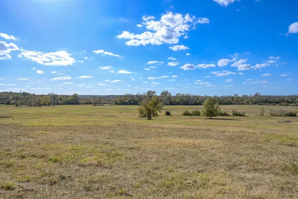 280 ACRES Spring Branch Road, Montgomery, TX 77316