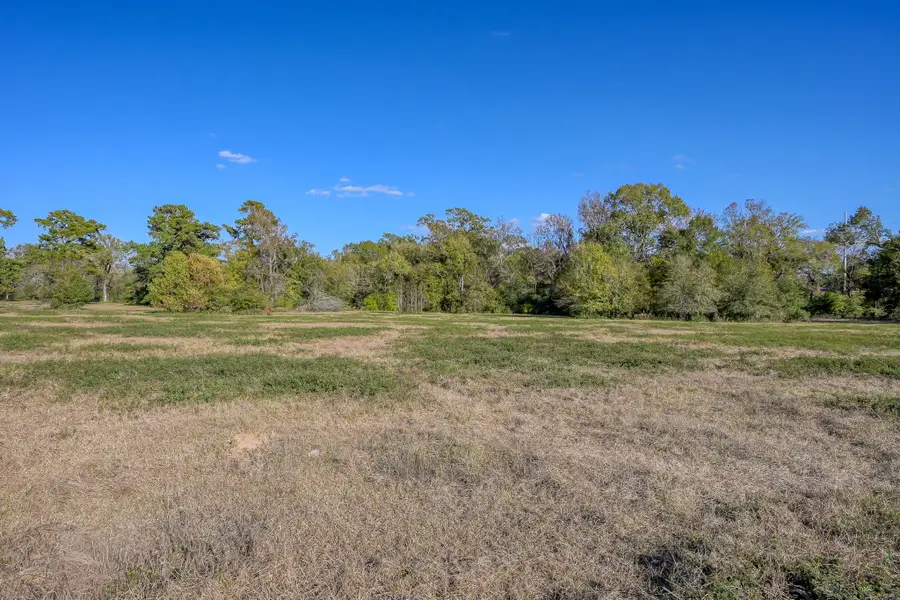 280 ACRES Spring Branch Road, Montgomery, TX 77316 - Image #3