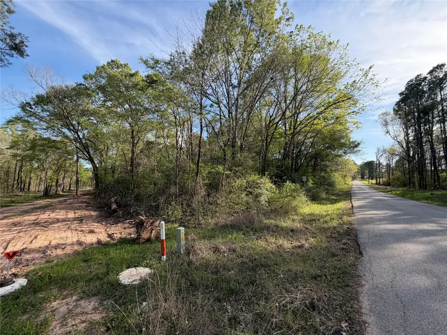 TBD Jackson Road, Coldspring, TX 77331 - #2